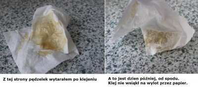 Hide glue i serwetka.jpg