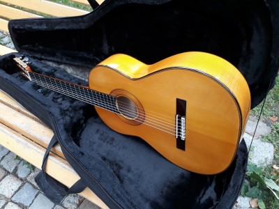 gitara nr 5 (11).jpg