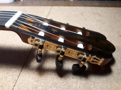 gitara nr 5 (22).jpg