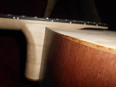 Wklejony gryf .Trzyma ,,jaskółka i cześć świerkowa gryfu.