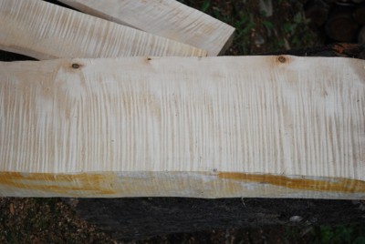 przykładowy materiał