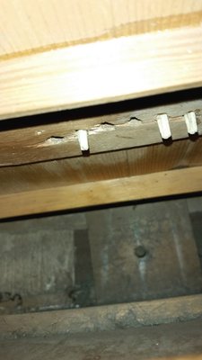 20141124_090318.jpg