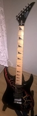WP_20160210_23_14_04_Pro.jpg