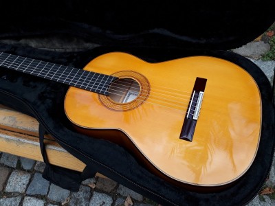 gitara nr 5 (1).jpg