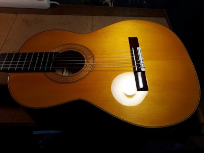 gitara nr 5 (13).jpg