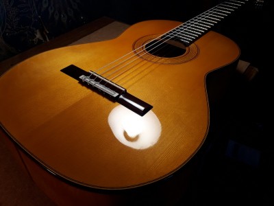 gitara nr 5 (15).jpg