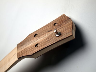 ukulele archtop neck 2.JPG